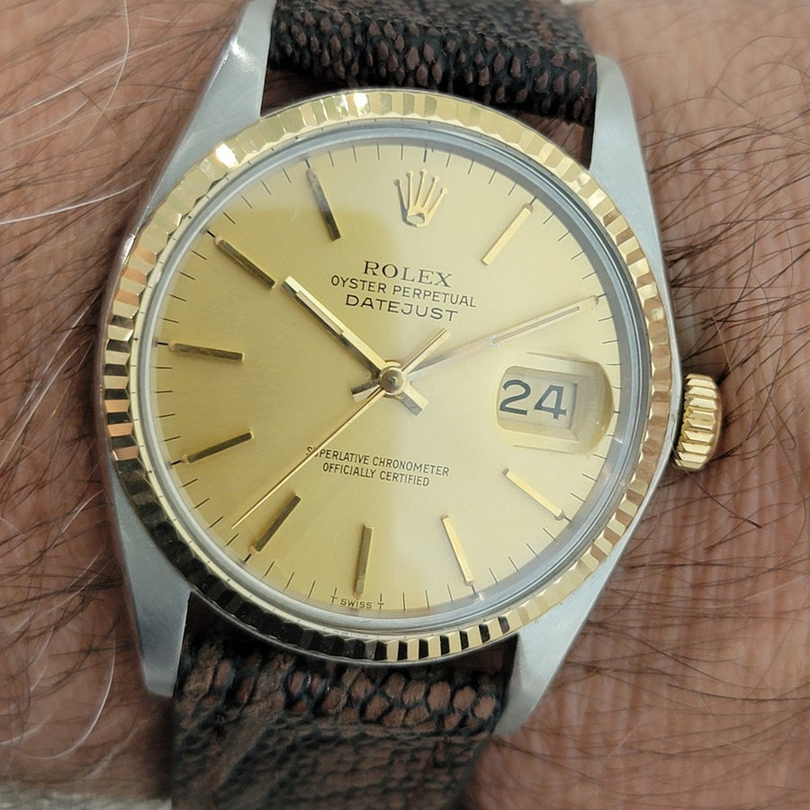 46049712