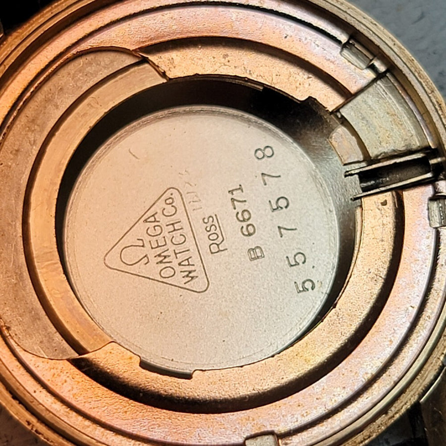 45008904